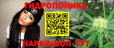 стафф Абинск