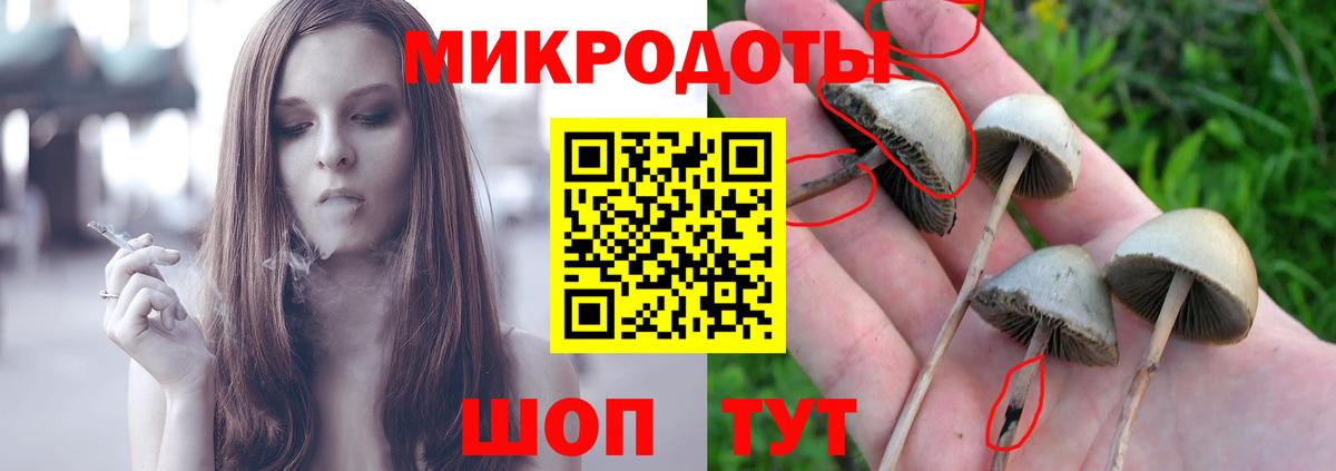Псилоцибиновые грибы Psilocybe Александров